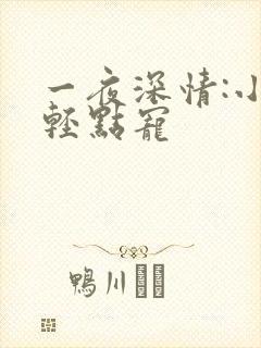 一夜深情:小叔轻点宠