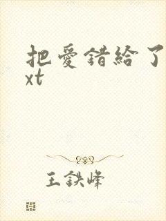 把爱错给了你txt