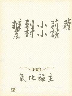 推到小莉萝稚嫩农村小说