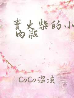 卖火柴的小男孩 肉版