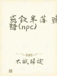 燕钗半落 琥珀糖(npc)