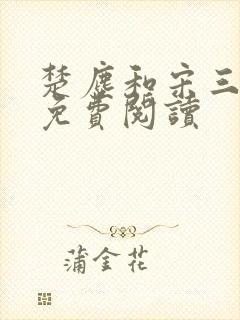 楚尘和宋三小姐免费阅读