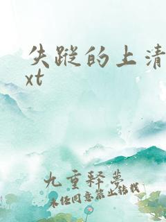 失踪的上清寺txt