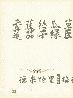 香蕉丝瓜草莓榴莲茄子绿巨人免费