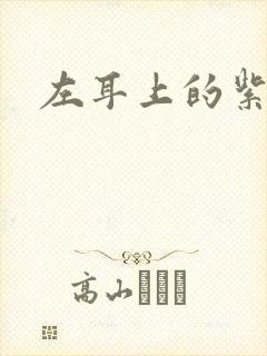 左耳上的紫水晶