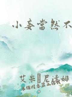 小妾当然不如妻