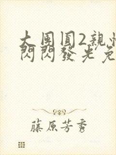 大团圆2亲情会闪闪发光免费