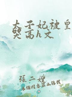 太子妃被皇上c哭高h文