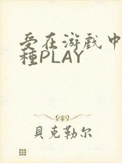 受在游戏中被各种PLAY