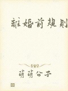 离婚前规则小说