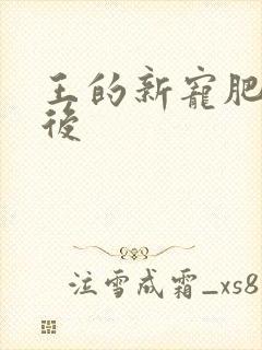 王的新宠肥婆皇后