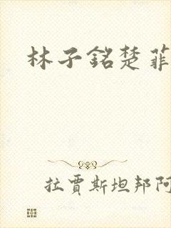 林子铭楚菲小说