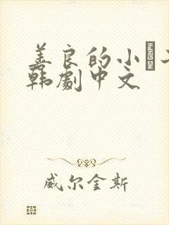 善良的小峓子2韩剧中文