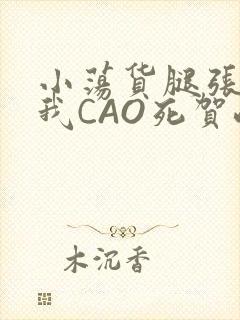 小荡货腿张开让我CAO死贺峻霖