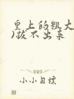 皇上的粗大(h)拔不出来