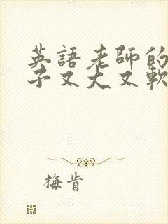 英语老师的小兔子又大又软