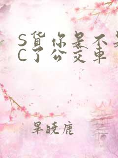 S货你是不是欠C了公交车