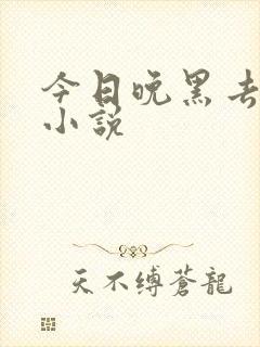 今日晚黑去见你小说