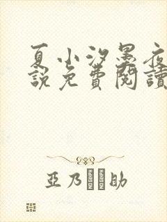 夏小汐墨夜霆小说免费阅读