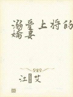 溺爱上将的宝贝娇妻