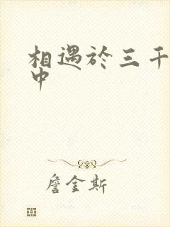 相遇于三千肉文中