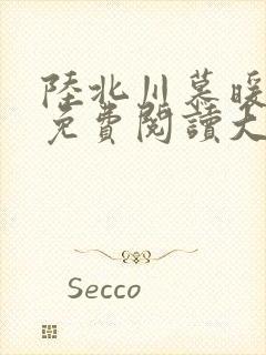 陆北川慕暖全文免费阅读大结局