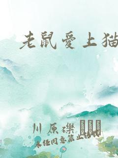 老鼠爱上猫下载