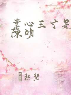 掌心三寸是人间陈明