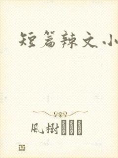 短篇辣文小说