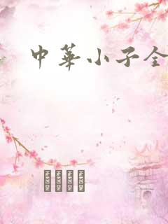 中华小子全集