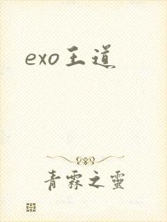 exo王道