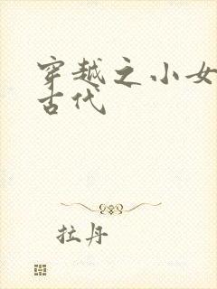 穿越之小女子闹古代