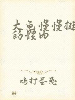 大龟慢慢挺进我的体内