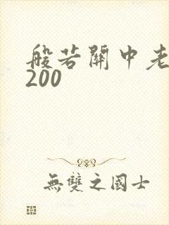 般若关中老人5200