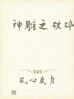 神雕之破碎之旅