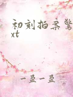 初刻拍案惊奇txt