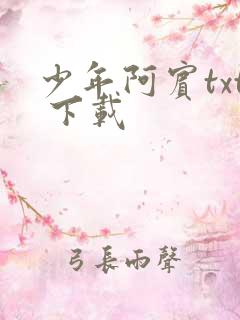 少年阿宾txt 下载