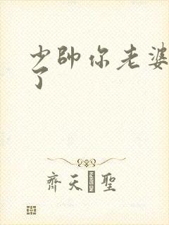 少帅你老婆又跑了