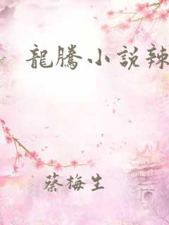 龙腾小说辣文网