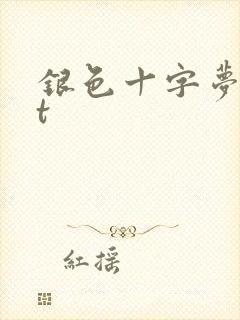 银色十字梦txt