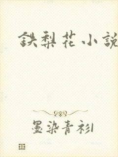 铁梨花小说