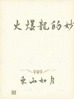 火爆龙的妙管家