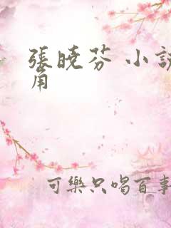 张晓芬 小说主角