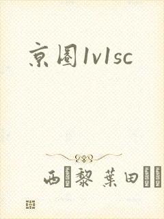 京圈1v1sc