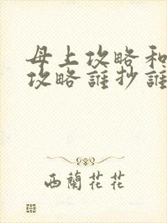 母上攻略和韵母攻略谁抄谁