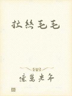 拉丝毛毛