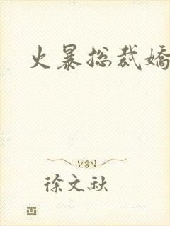 火暴总裁娇柔妻