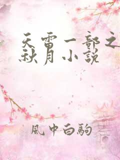 天雷一部之春花秋月小说