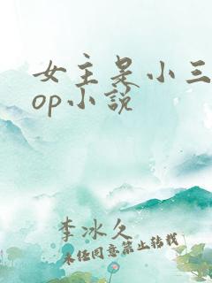 女主是小三的pop小说