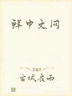 鲜中文网